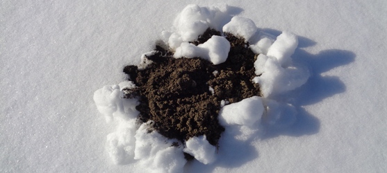 maulwurfshügel im schnee