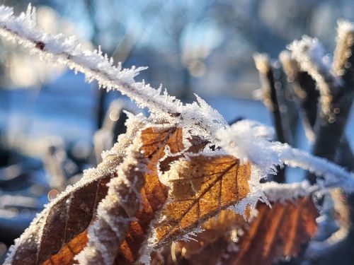 winter farben