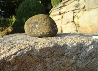stein